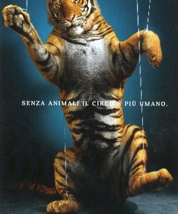 89586_circosenzaanimali