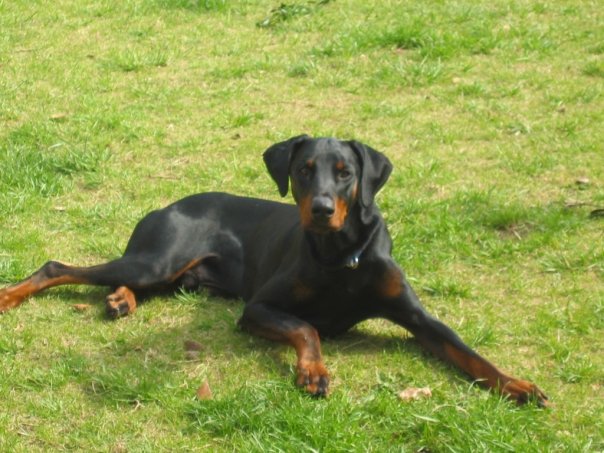 ares
