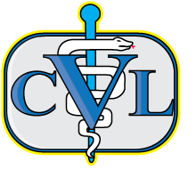 cvl