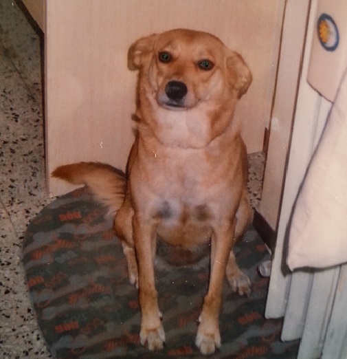 spilla