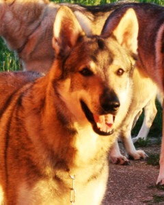 Romeo
