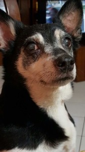 IMG-20180930-WA0003