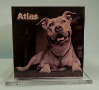 urna plexiglass