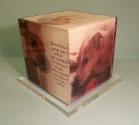 urna plexiglass
