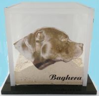 urna plexiglass