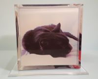 Urna plexiglass multifoto